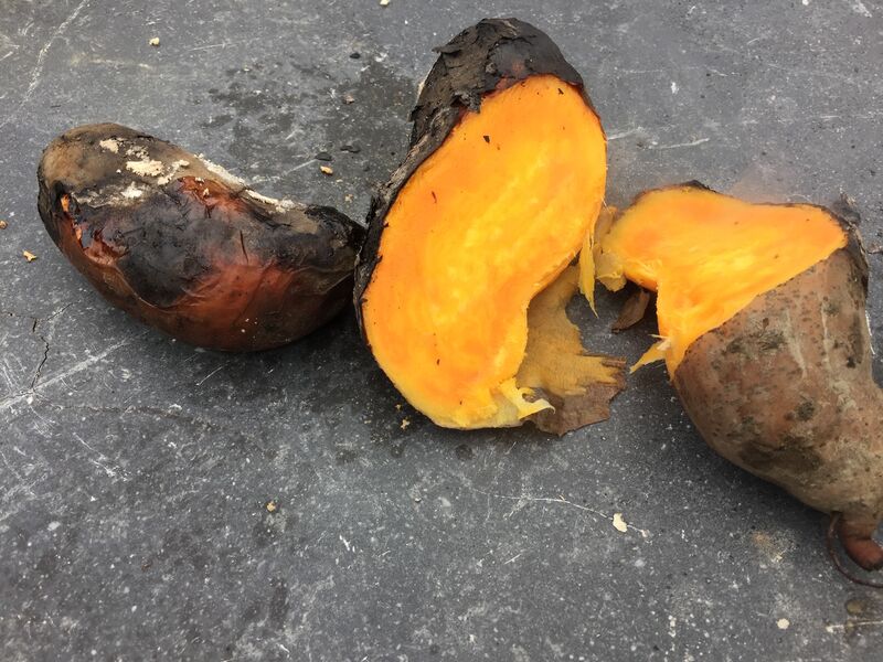 Zwart geblakerde zoete aardappel