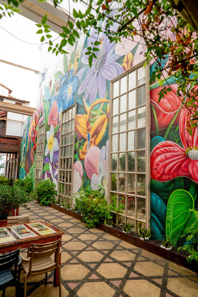 Nuestra terraza TZ14