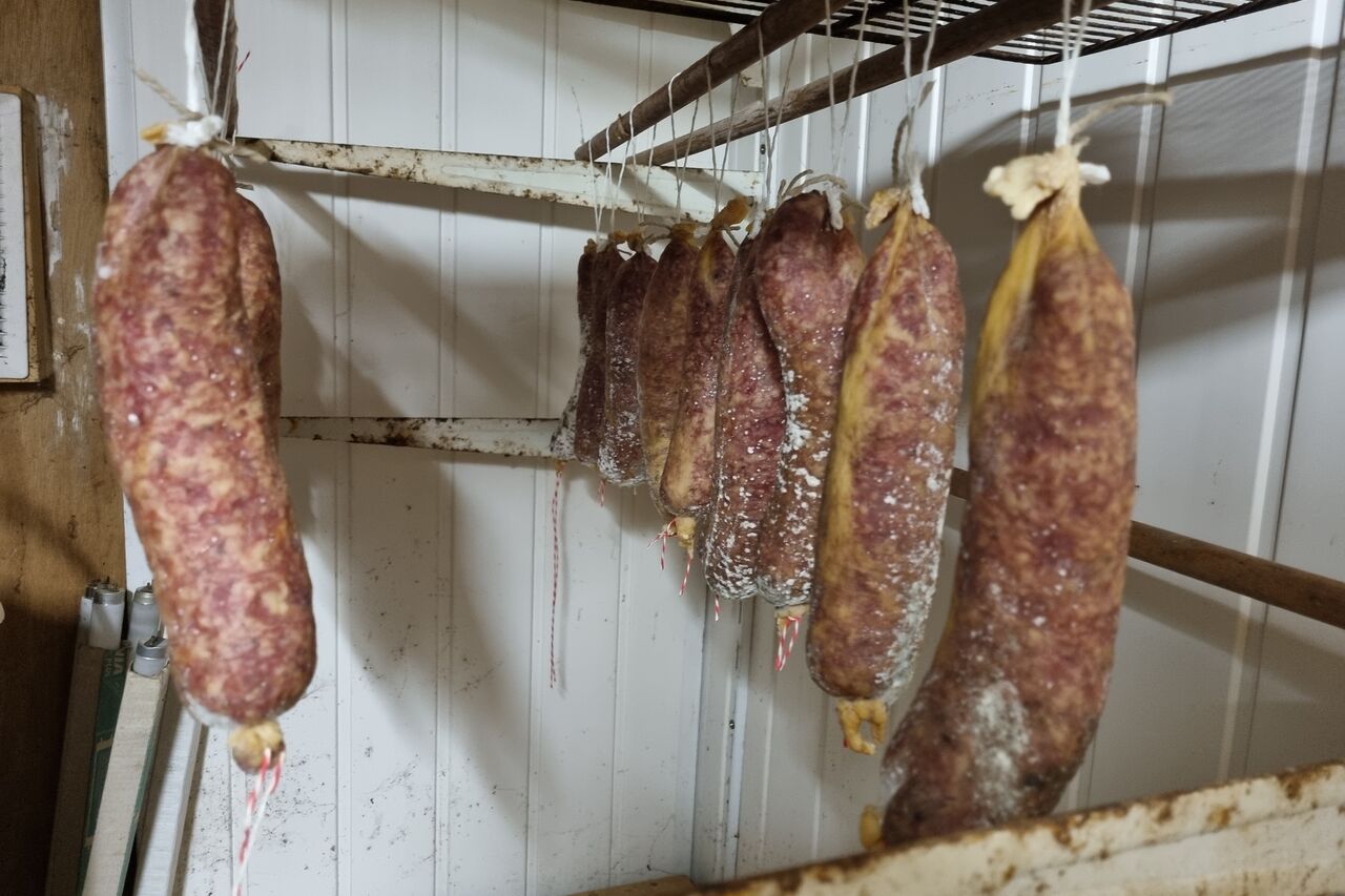 Saucissons secs maison .