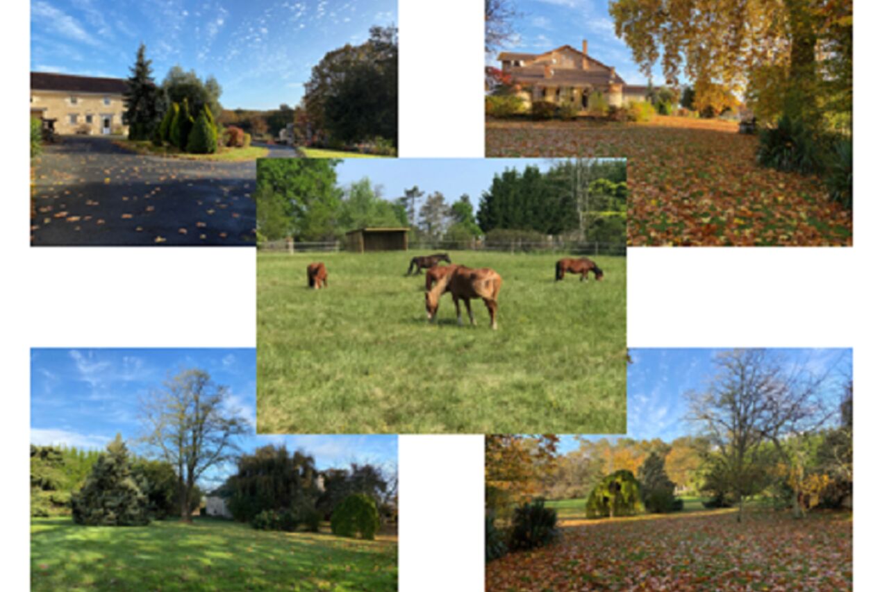 Le Domaine et ses Extérieurs