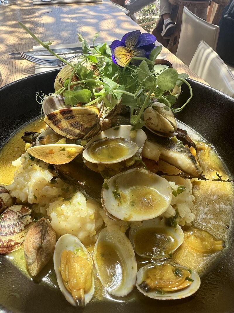 Filet de Daurade en nage de Palourdes