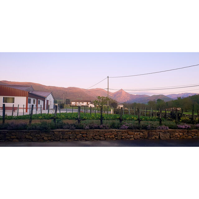 La fromagerie au pied du Pic de Béhorleguy