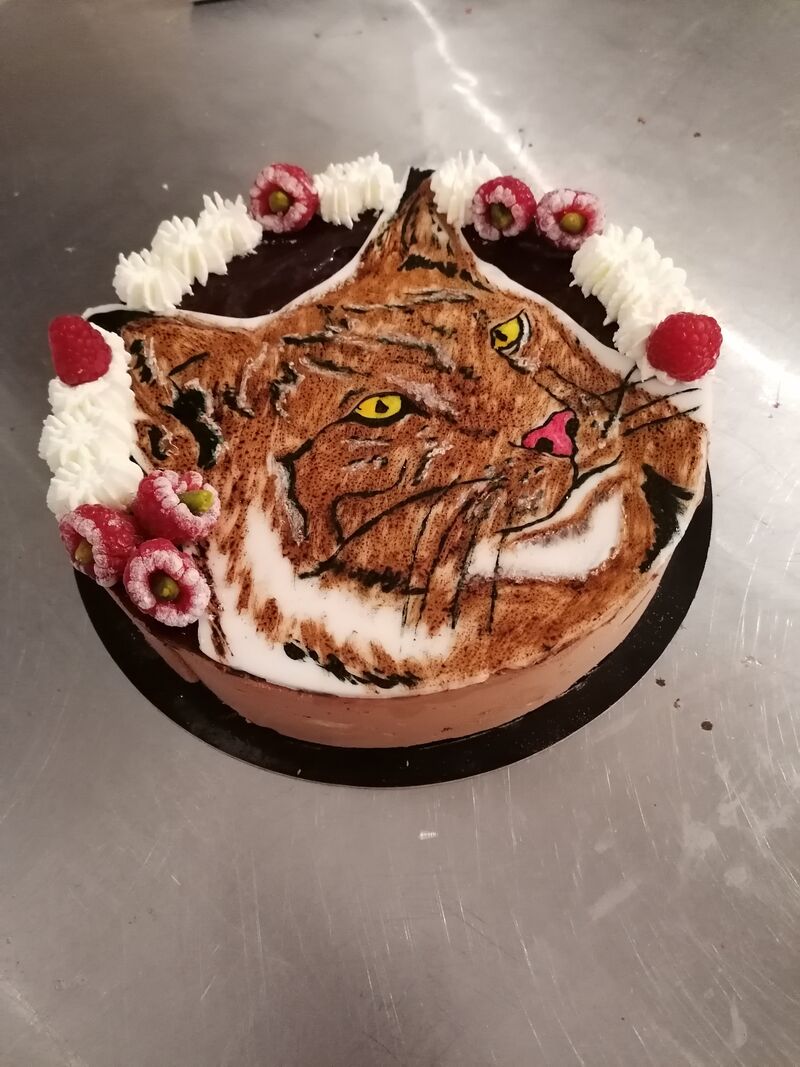 Entremet framboise chocolat 