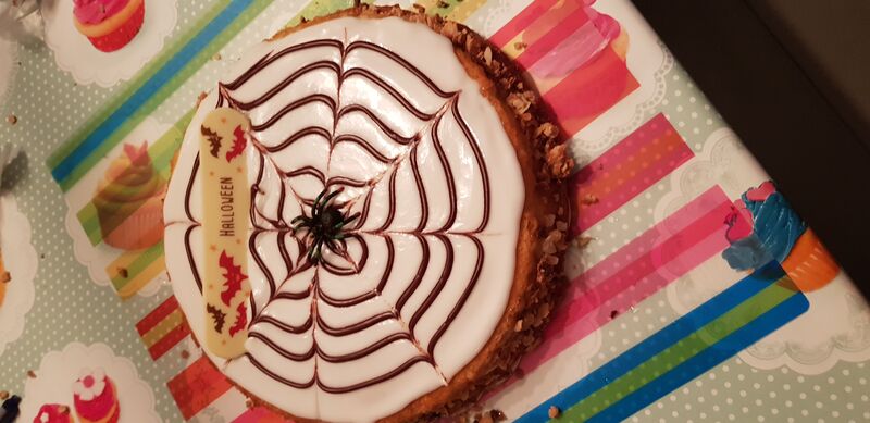 Workshop spinnentaart