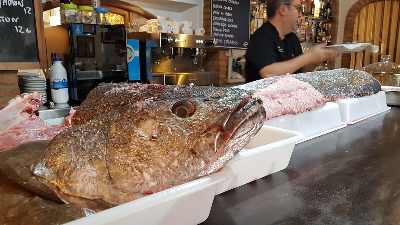 Los mejores y más frescos pescados de nuestra costa los encontrará en nuestra Casa.