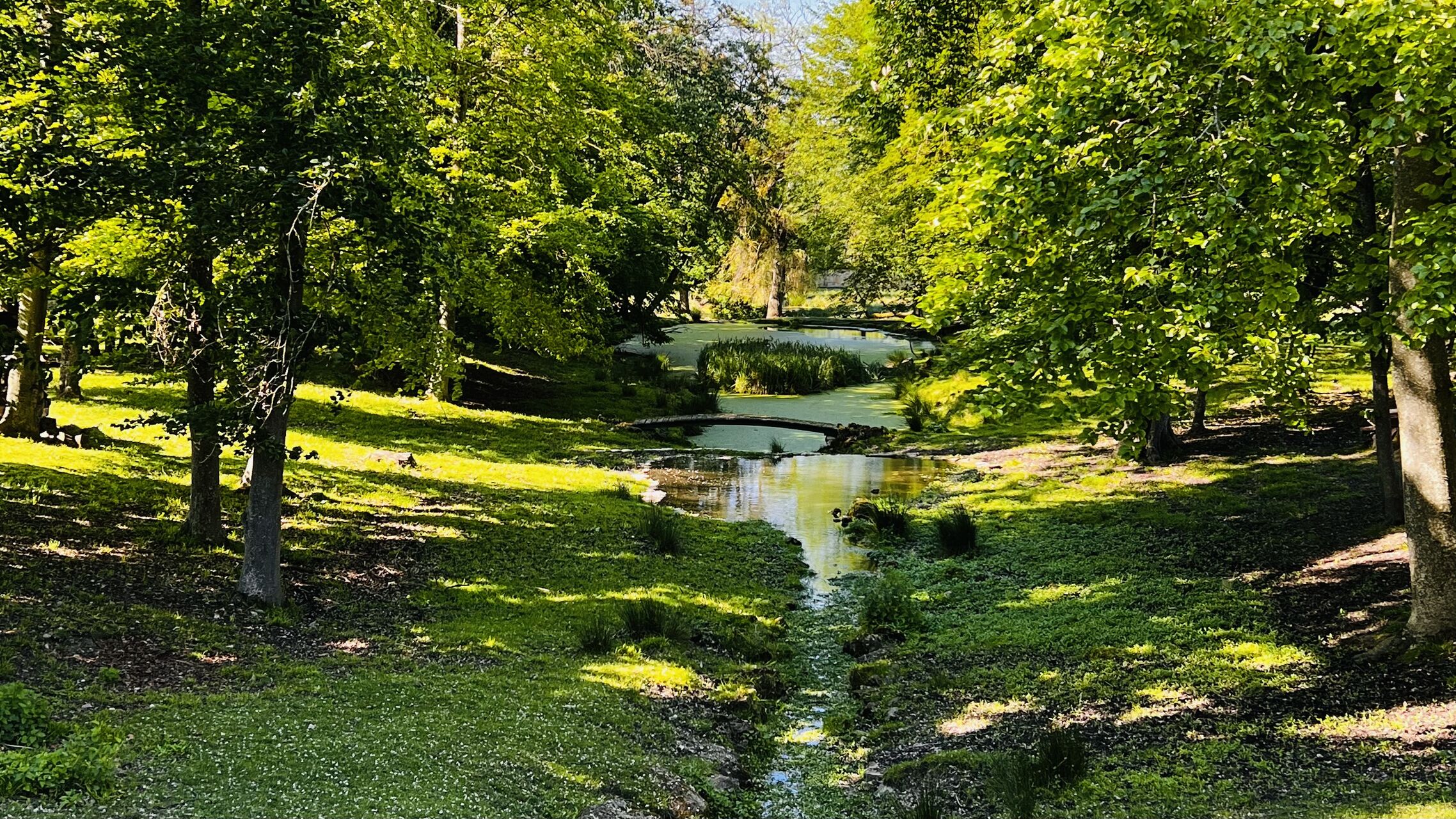 Son parc de 3 hectares idéal pour vos photos de mariage