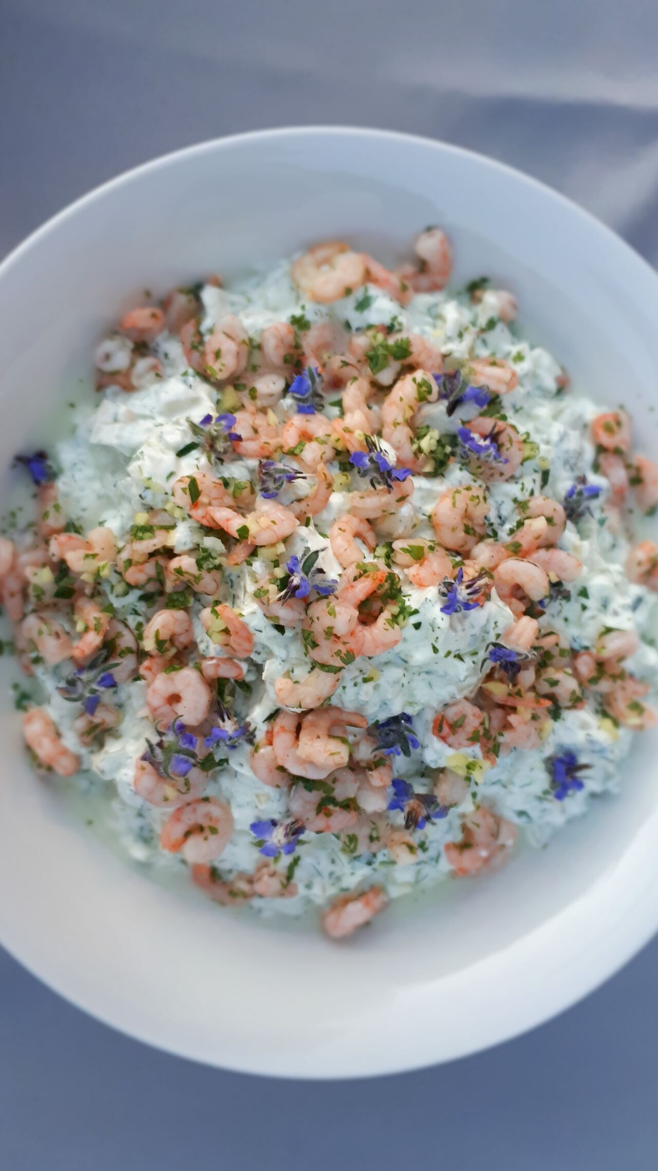 Salade de fenouil au yaourt grec, fleurs de bourrache