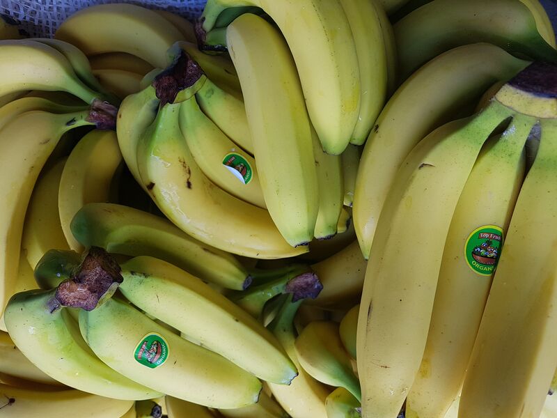 Banane cat2 bio Saint Dominique
