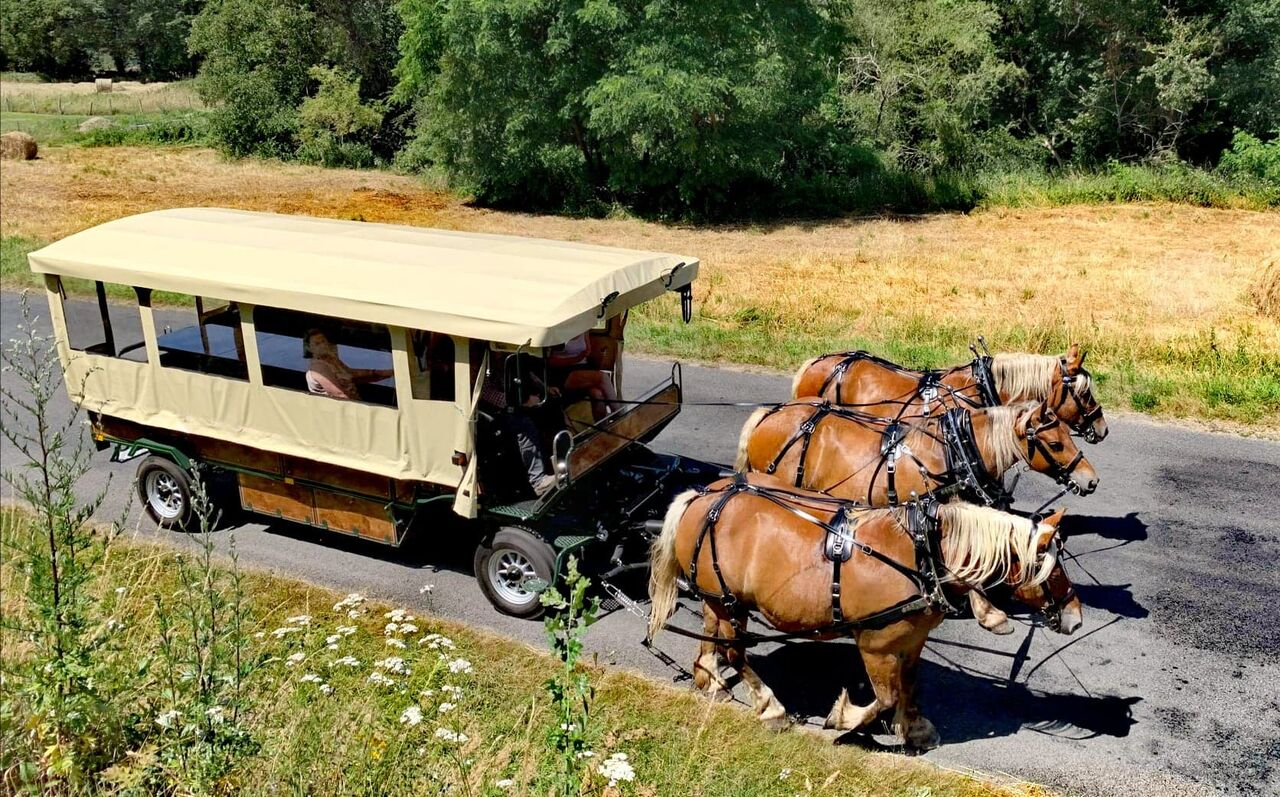 Restaurant la Roulotte à manger