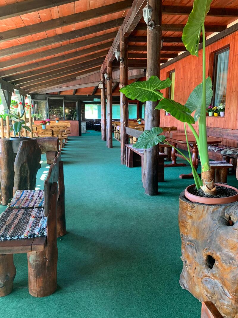 Naša terasa okružena zelenilom