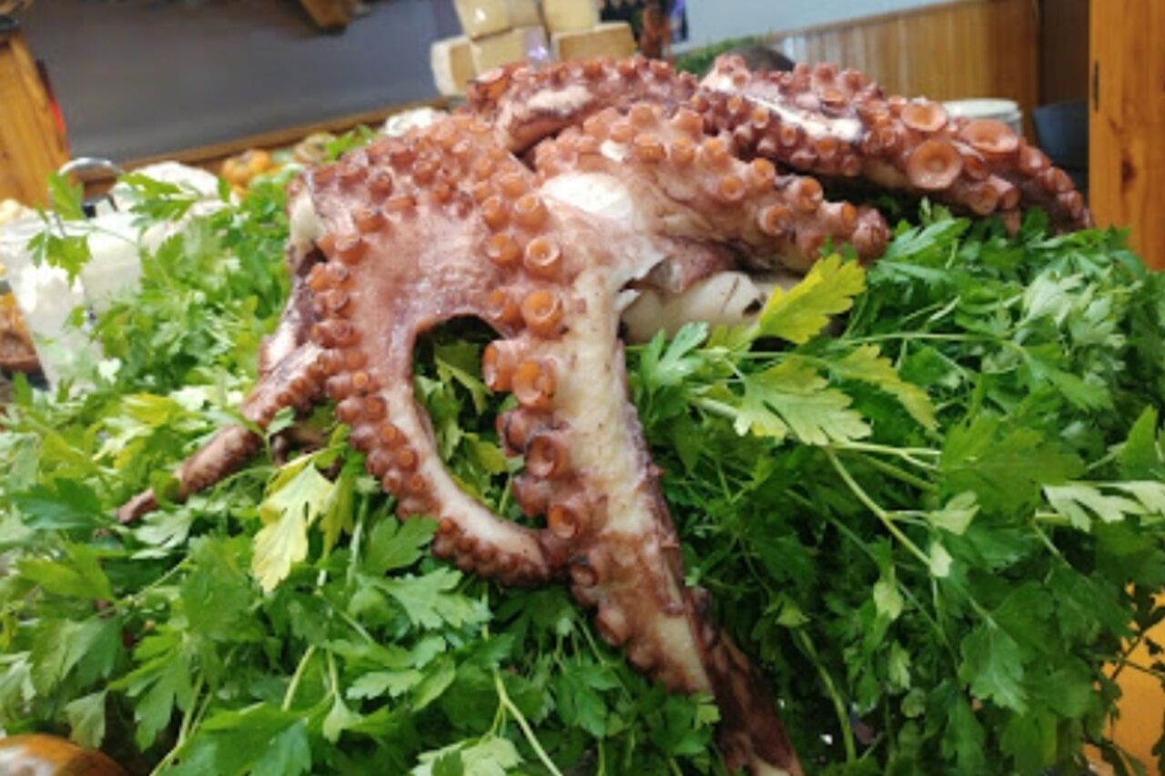 PULPO. CALAMAR. SEPIA