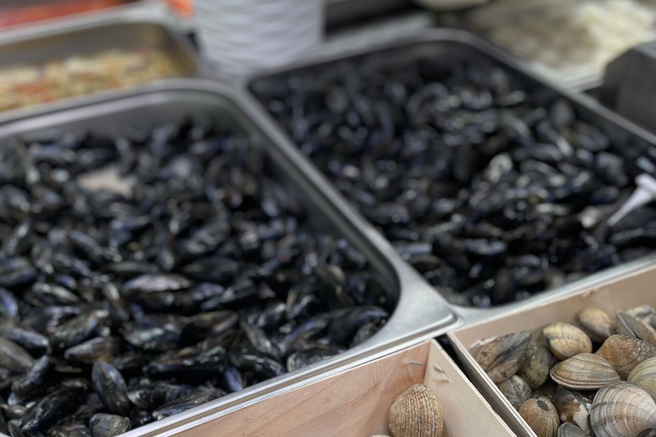 Arrivage de Moules de Bouchot
