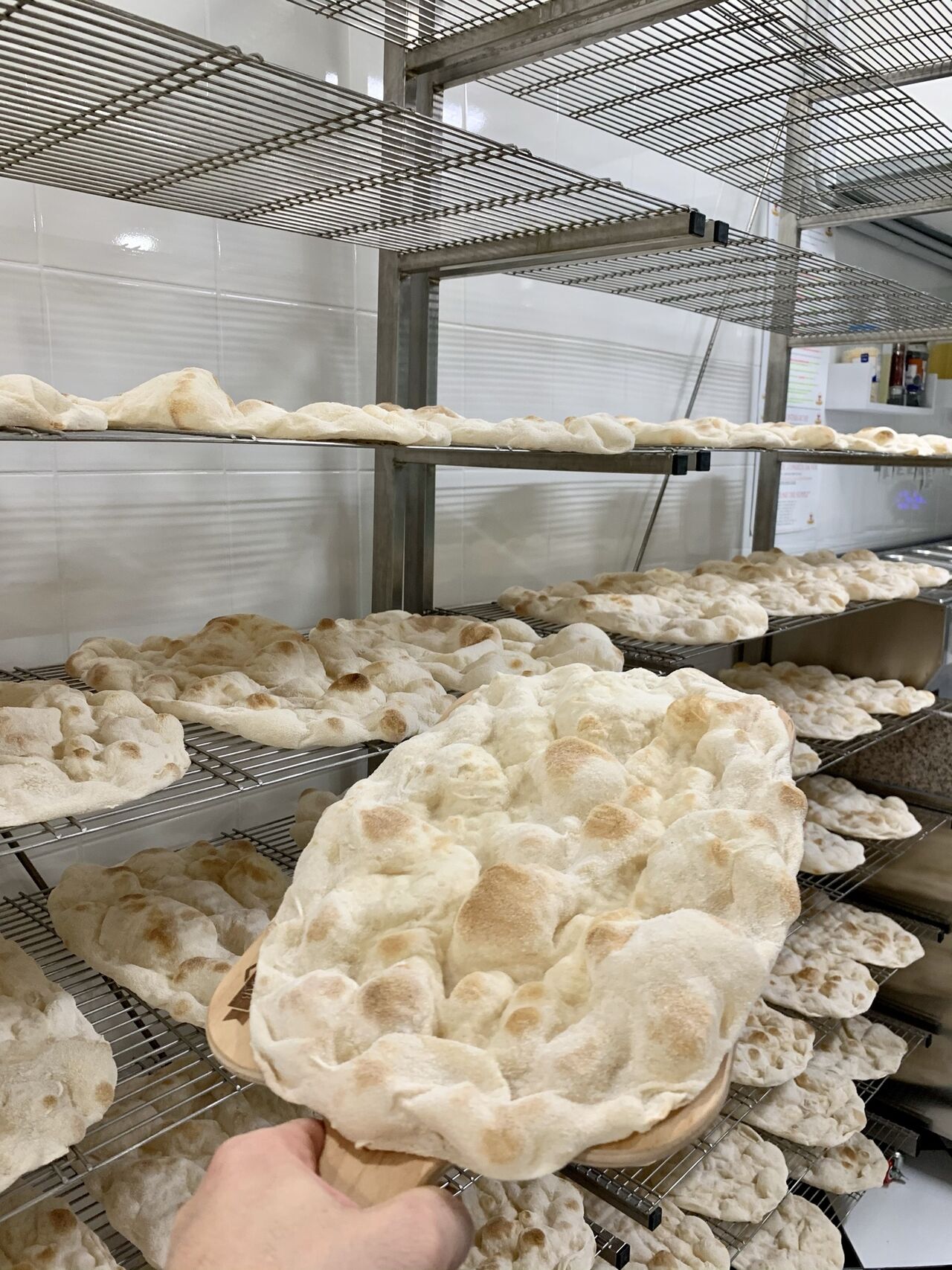 Le Nostre Basi appena Scottate 