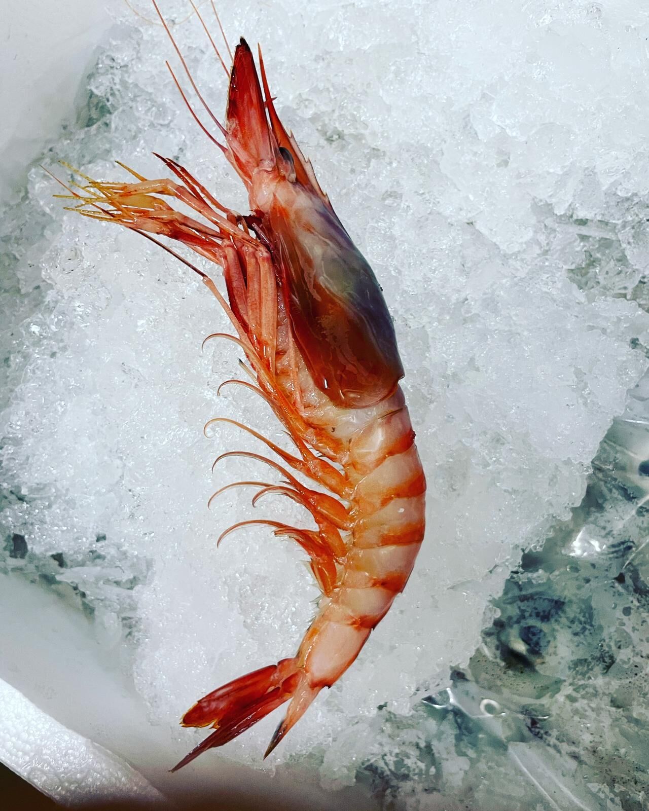 La nostra materia prima 