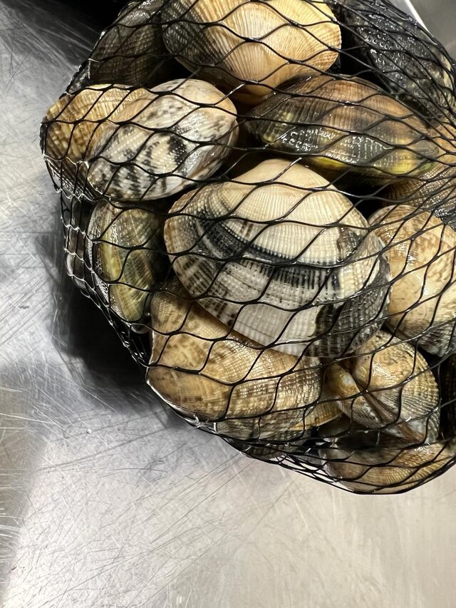 Vongole sempre fresche