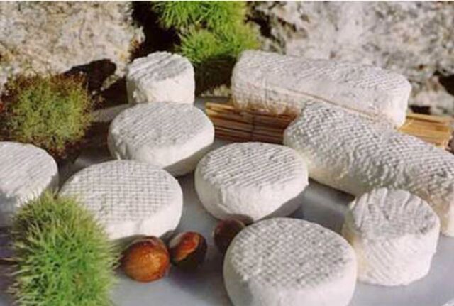 Cabecou d'Autan 21% chèvre - 60gr - 3,34€