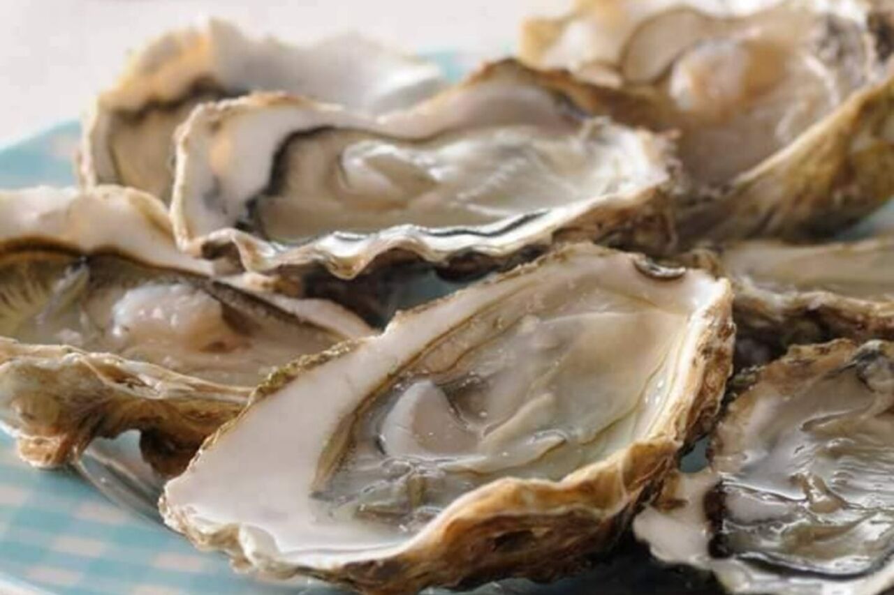 Restaurante | cervejaria marisqueira a gare | Leiria