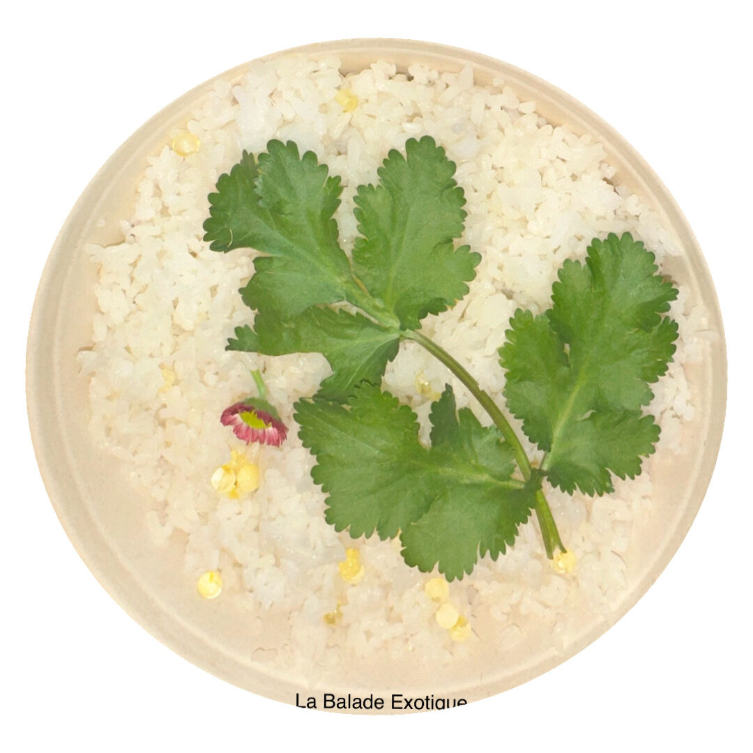 Un bon riz cassé deux fois