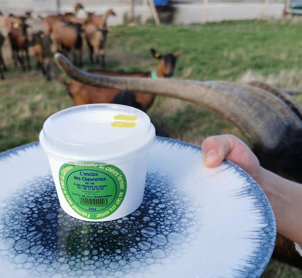 LA FAISSELLE DE CHEVRE 