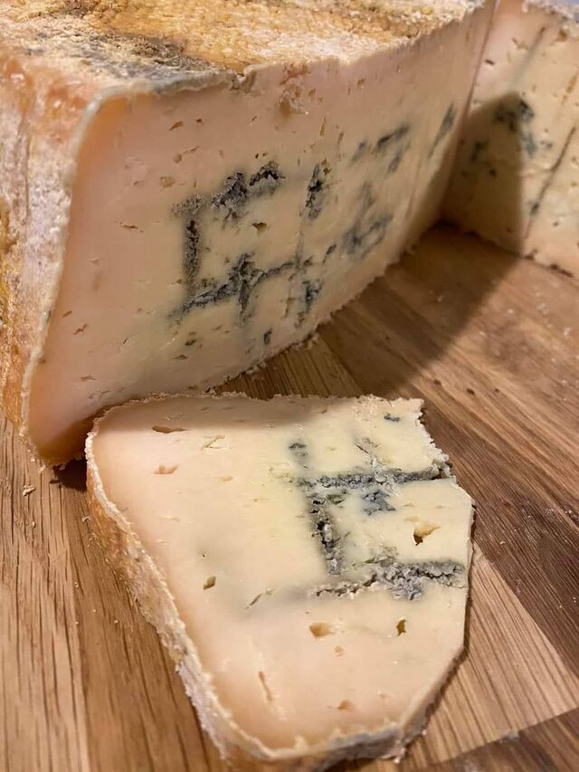 Warmiński Pleśniowy