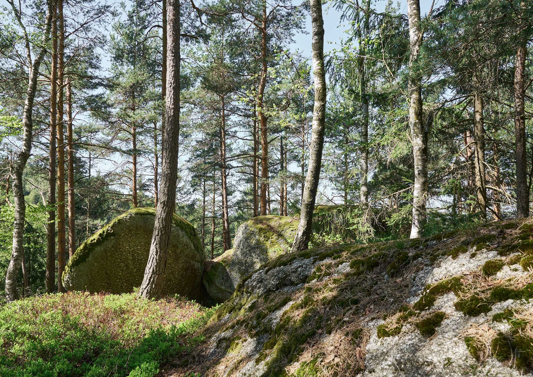 Wandern auf der Mühlviertler Alm „Johannesweg“