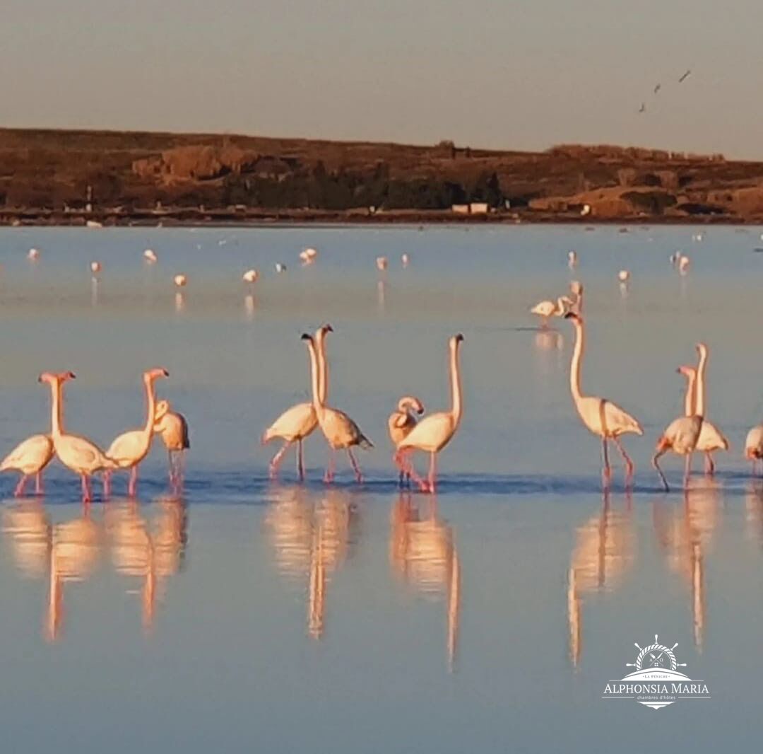 Pink is the colour ! 🌸