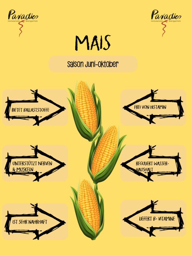 Der Star des Junis: Mais. Fakten von Herkunft bis Pflanzung findet Ihr unter „über uns“