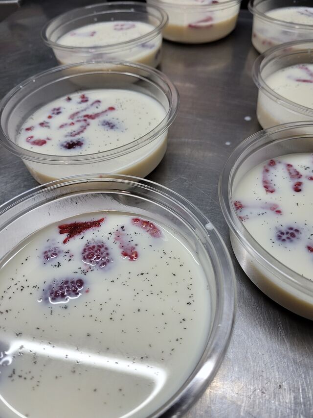 Panna cotta
