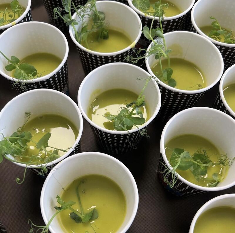 Velouté de Petit Pois