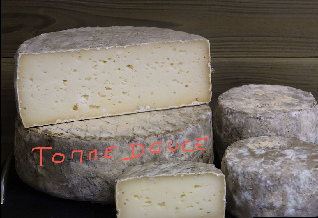 Tomme brebis gérantes 850GR environ