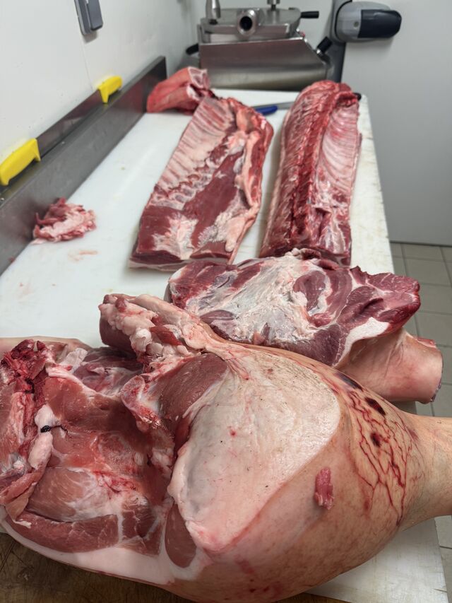cochon de Correze