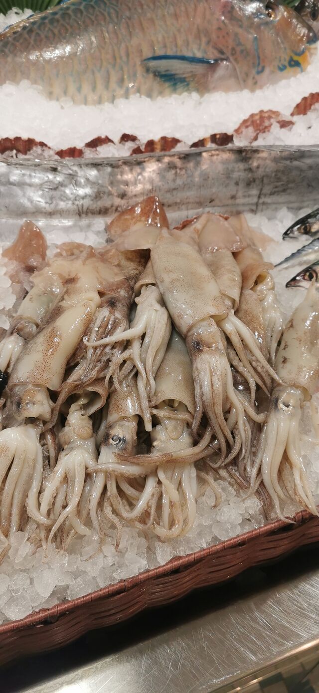 Calamars