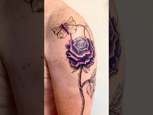 Paarse roos met vlinder (sketchy stijl) - voor Jeroen