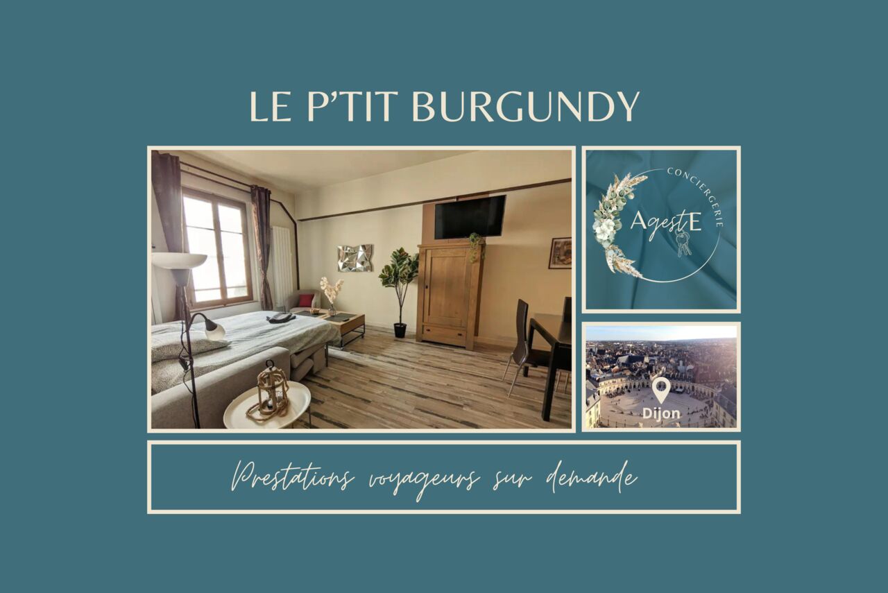 Un spacieux studio à 2 pas de la place darcy et du centre ville !