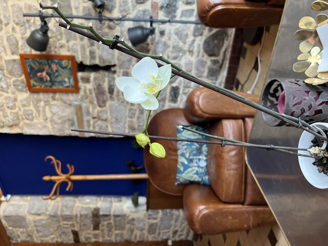 La récompense de la patience 