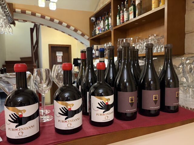 Our wines from Marche region