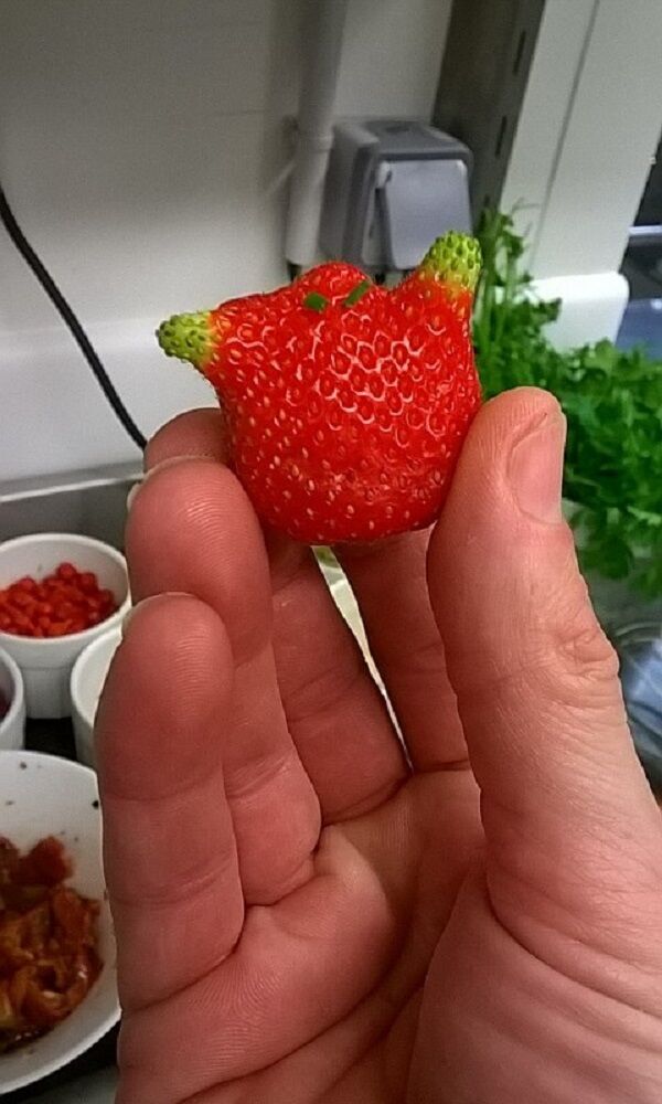 Un nouveau copain dans l'équipe !