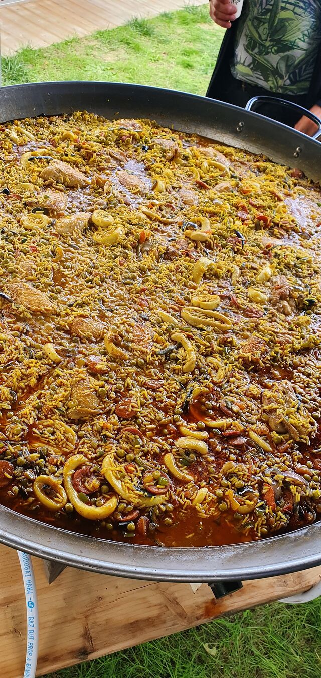 TRAITEUR DST CREATIF