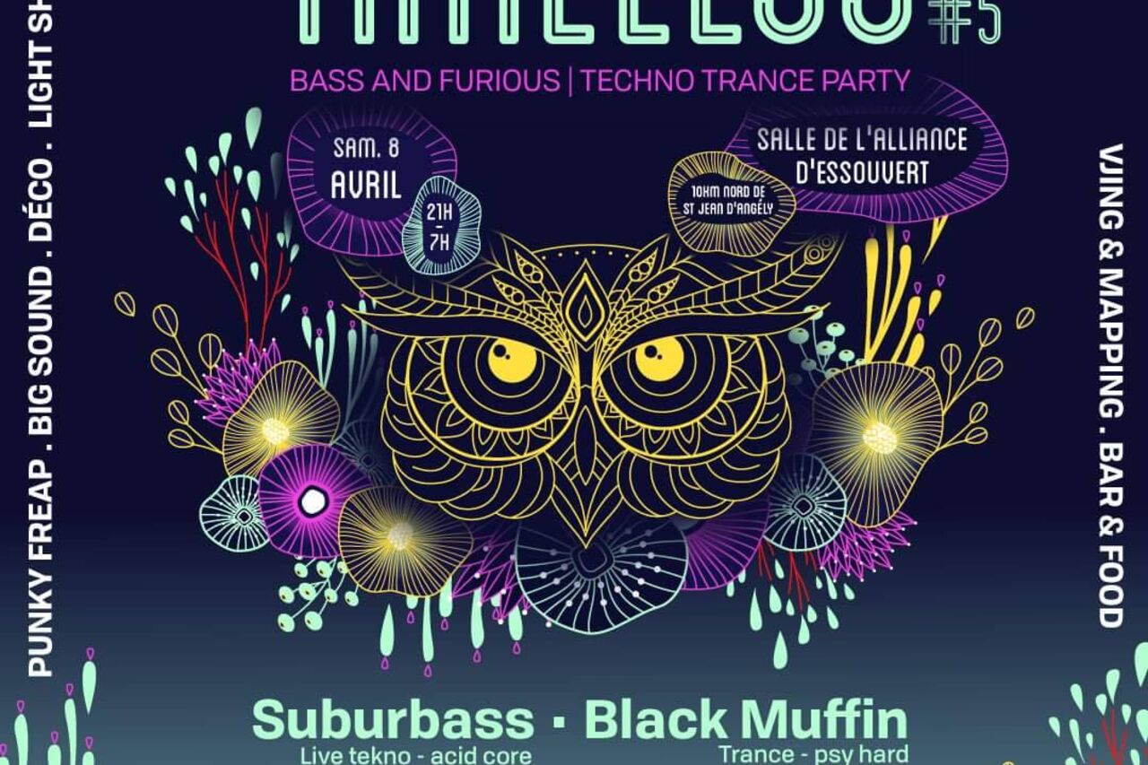 Timeless #5 Festival