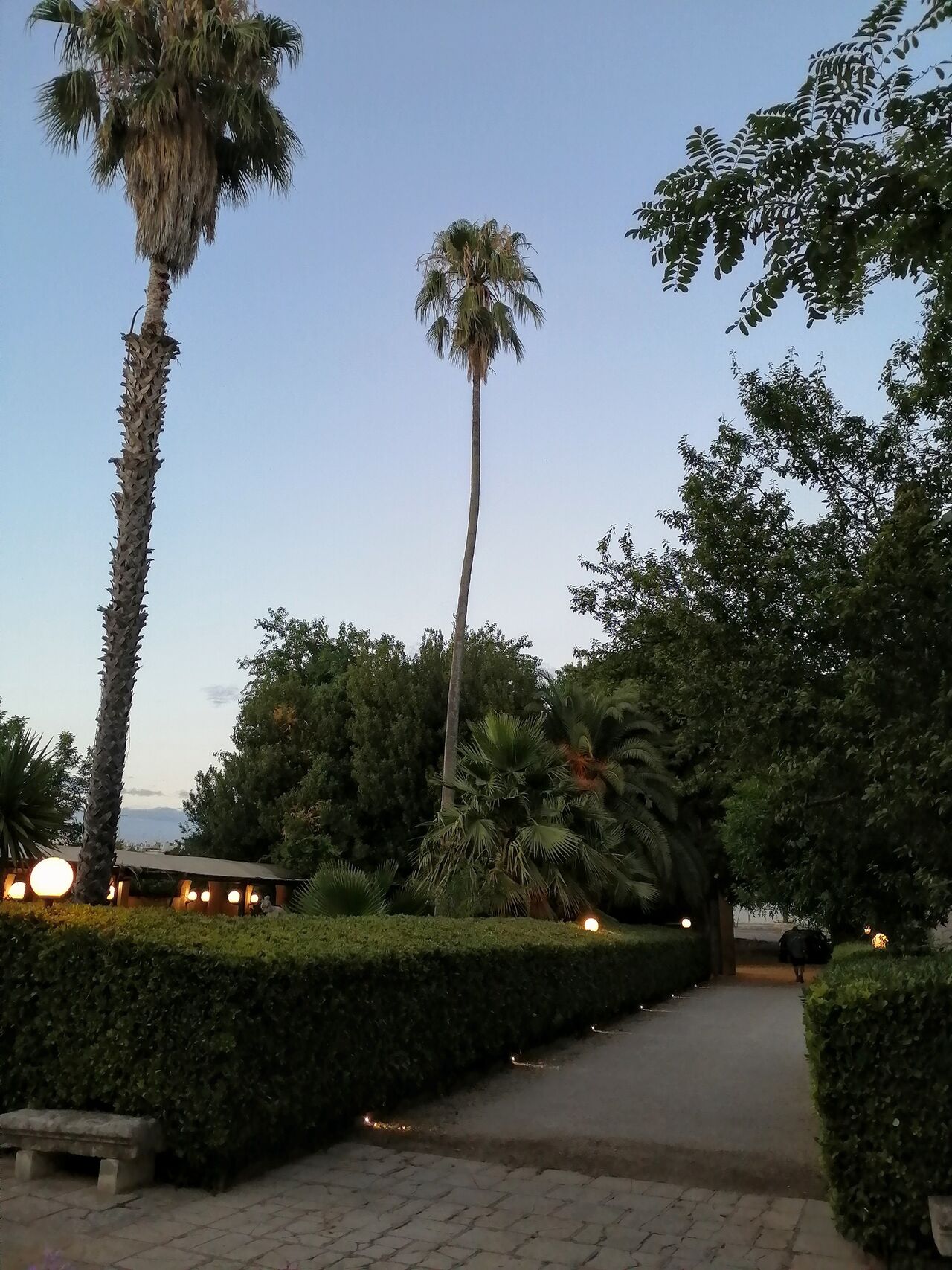 Giardino antistante la villa