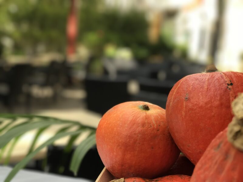 Terrasse La Gondola Due