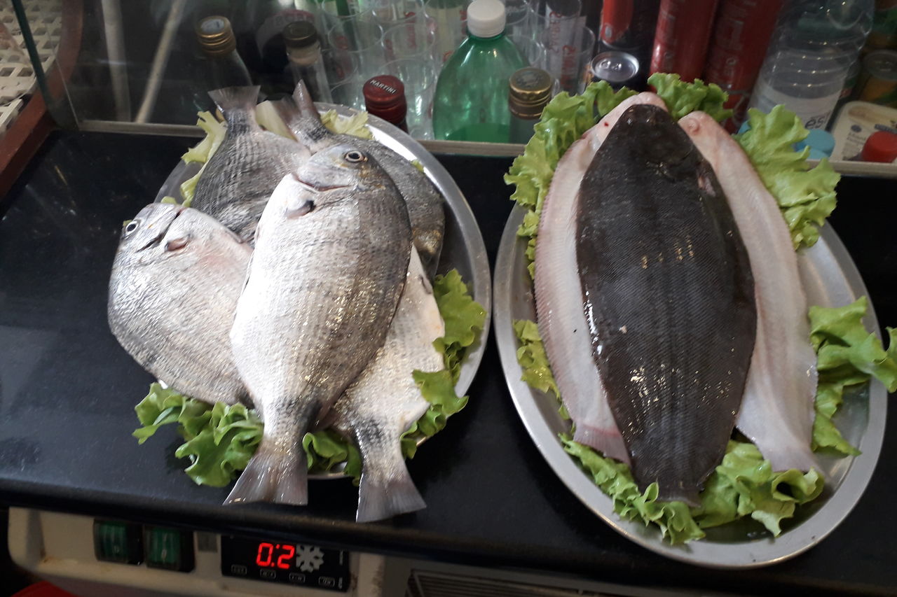 Peixe sempre fresquíssimo