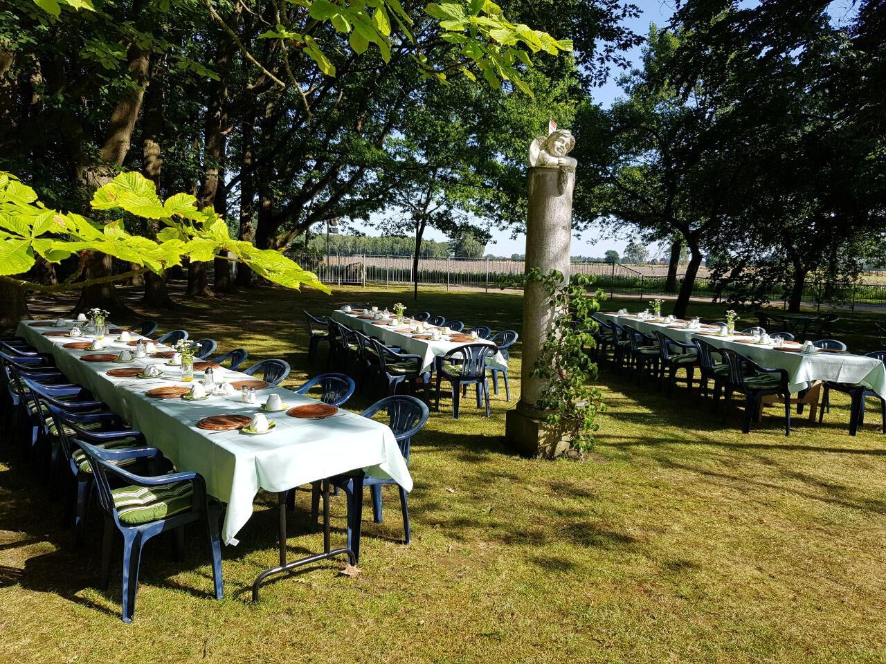 Abendessen im Grünen 