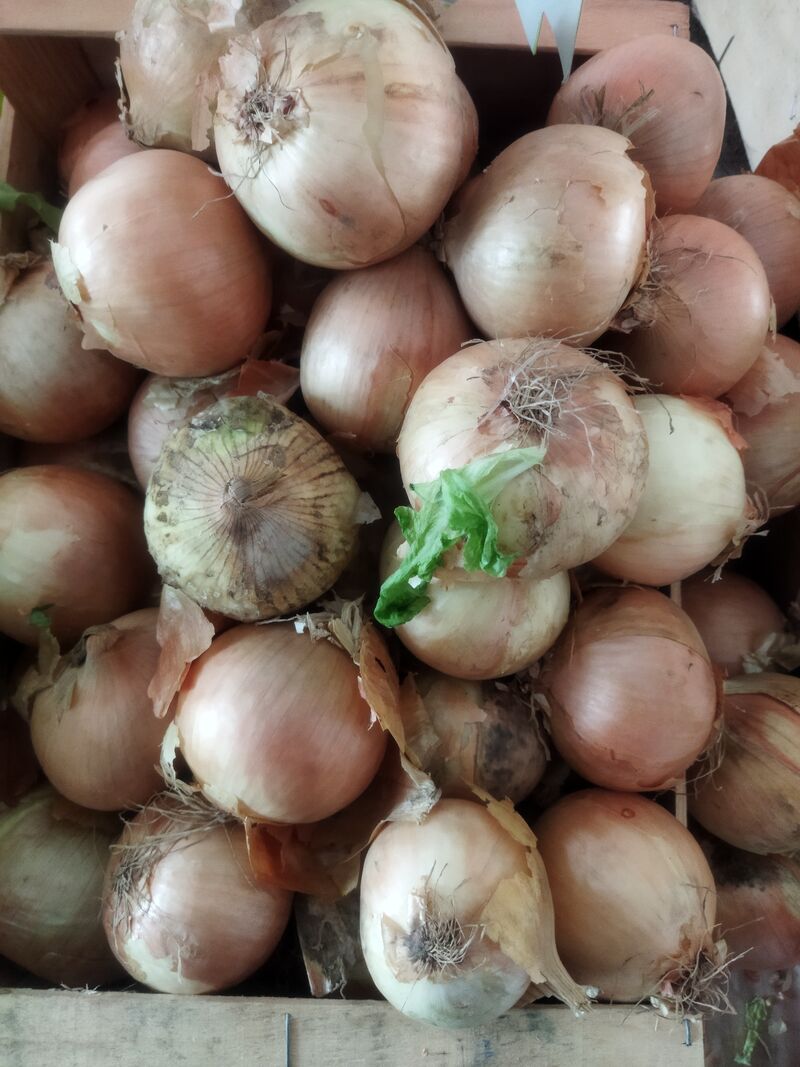 Oignons jaunes 1.03kg