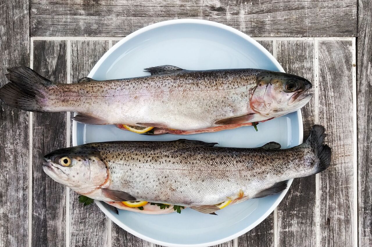 Täglich frischer Fisch
