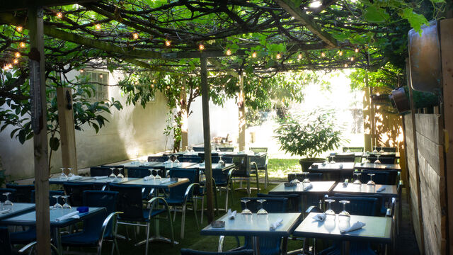 Jardin ombragé sous les vignes