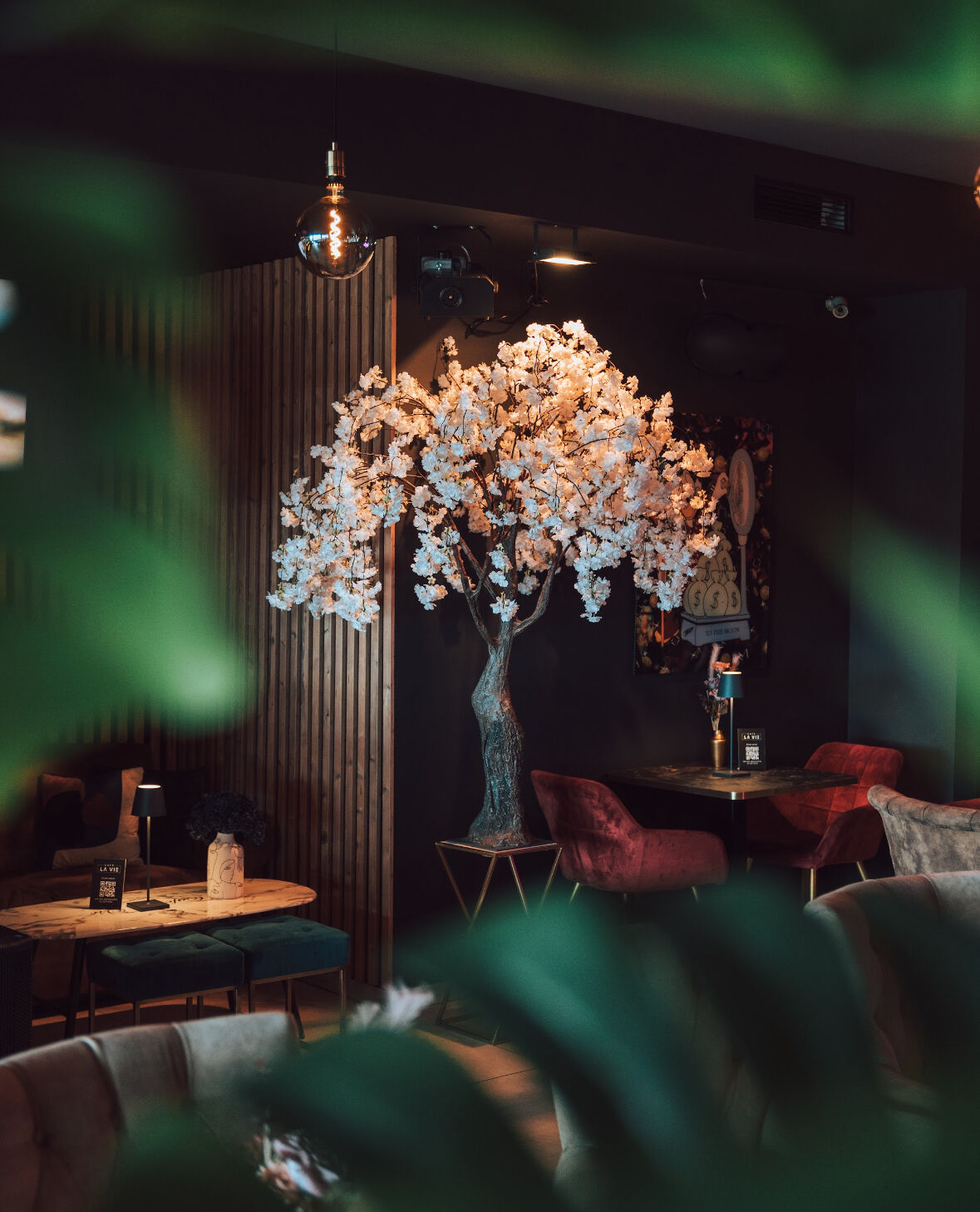 Cafe La Vie Hachenburg ShishaLounge in meiner Nähe Jetzt reservieren