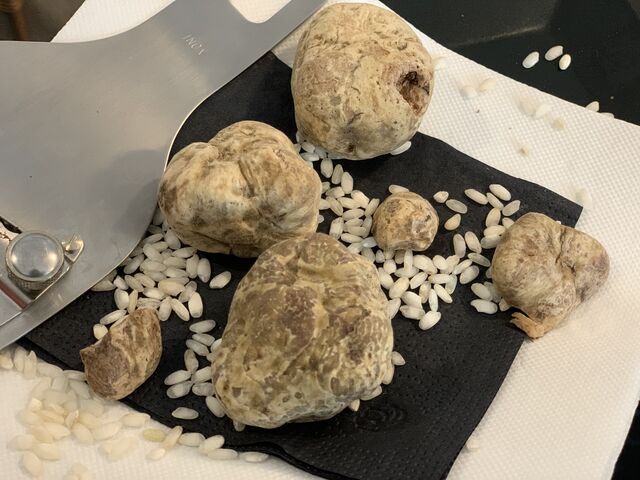 Truffe blanche 
