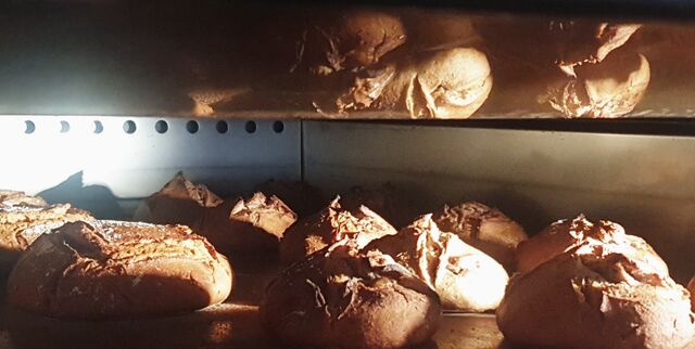 Petit épautre & Noix (cuisson en cours)