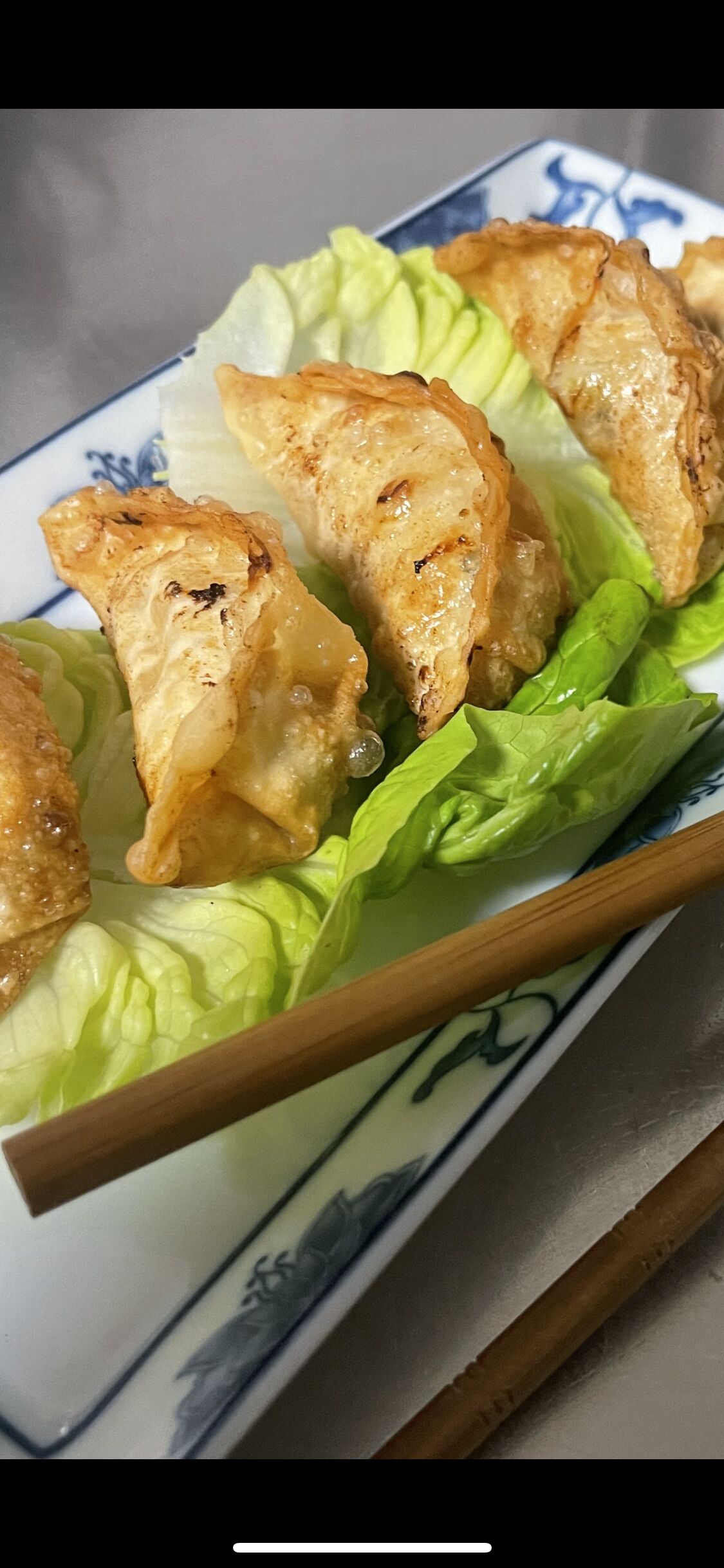 Gyoza 🥟 